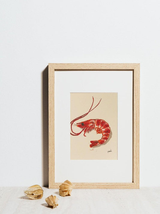 Shrimp Print - 11x8.5 inch - Starfruit Prints